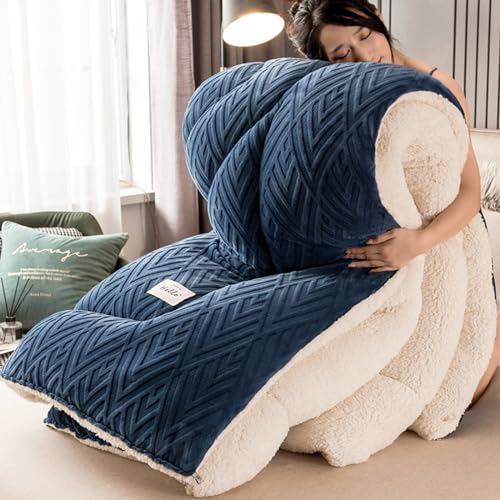 XIUWOUG Bettdecke,Winter Steppdecke Doppelseitige Winterdecke Aus Samt, Warme Bettdecke Schlafdecke Flauschige Steppdecken Für Duvet Verdicken Lamm Kaschmir,E,180X220 3.5KG von XIUWOUG