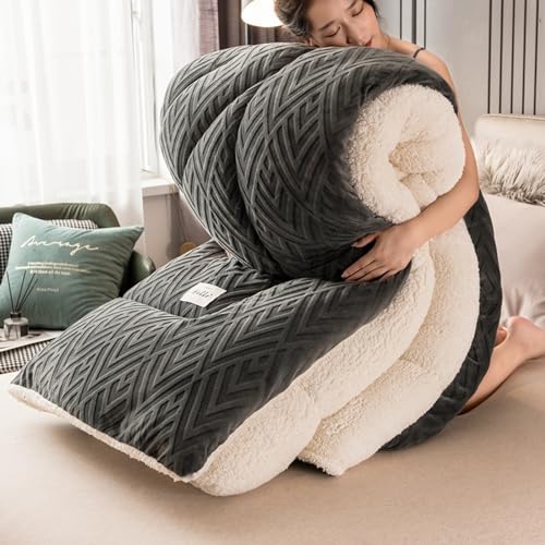 XIUWOUG Bettdecke,Winter Steppdecke Doppelseitige Winterdecke Aus Samt, Warme Bettdecke Schlafdecke Flauschige Steppdecken Für Duvet Verdicken Lamm Kaschmir,F,200X230 3KG von XIUWOUG