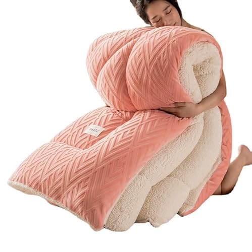 XIUWOUG Bettdecke,Winter Steppdecke Doppelseitige Winterdecke Aus Samt, Warme Bettdecke Schlafdecke Flauschige Steppdecken Für Duvet Verdicken Lamm Kaschmir,G,200X230 3KG von XIUWOUG