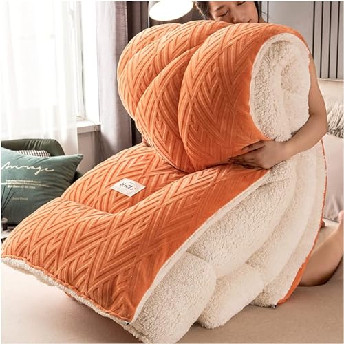 XIUWOUG Bettdecke,Winter Steppdecke Doppelseitige Winterdecke Aus Samt, Warme Bettdecke Schlafdecke Flauschige Steppdecken Für Duvet Verdicken Lamm Kaschmir,H,220X240 5KG von XIUWOUG