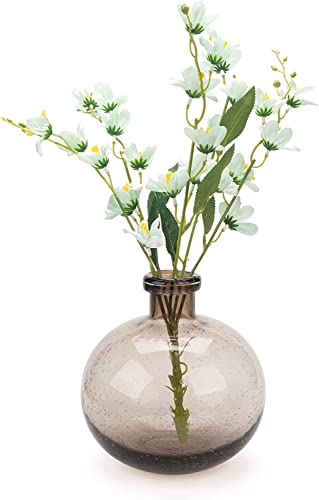XIUWOUG Runde Glasvase,Braune Dekovase,Vintage Glas Vase für Modernes Wohnkultur,Indoor Dekoration (nur Vase),Braune klein von XIUWOUG
