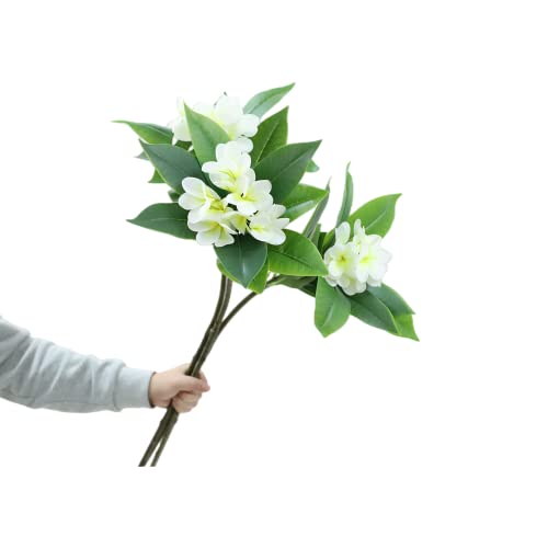 XIYUAN 90 cm künstliche Blumen künstliche Frangipani-Blume 2 Stiele lebensechte echte Haptik künstliche Plumeria-Blumen für Zuhause Party Hochzeit Blumenstrauß Heimdekoration (weiß) von XIYUAN