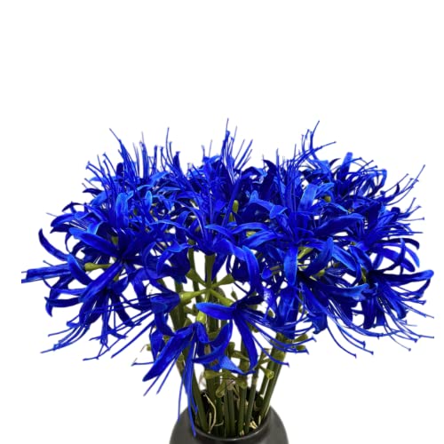 XIZHI 5 Stiele Künstliche Spinnenlilie Blumen 23,6 Zoll Lycoris Blumenzwiebeln Spinnenlilien Künstliche Blumen mit langem Stiel Real Touch für Fotografie Hotel Garten Dekoration (Blau) von XIZHI