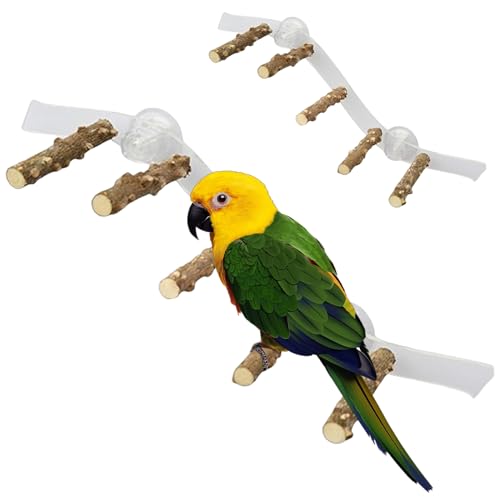 Vogeldusche Barsch, Holzfenster Barsch Spielzeug mit Saugnapfbecher, Klettern Ramp Leiter Bird Stand Cage Accessoires Parrot Playstand für Cockatiel Lovebird Budgie |.Stand von XJKLBYQ