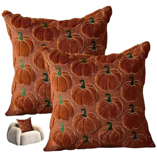 XJKLBYQ 2pcs Kürbiskissenbezüge 18x18 Pelzige weiche Kürbis -Muster -Kissenbezüge für Halloween für Home Terrasse Couch Sofa Dekor von XJKLBYQ