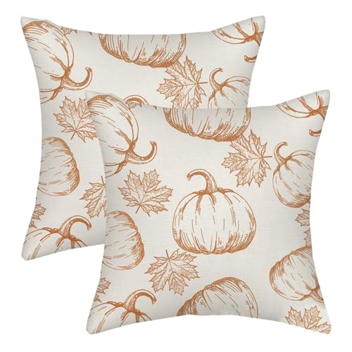 XJKLBYQ Halloween -Kissenbezüge Kürbisahnen, 2pcs Thanksgiving Plüschkissenbezüge für Couch Home Decor/20x20 Zoll von XJKLBYQ