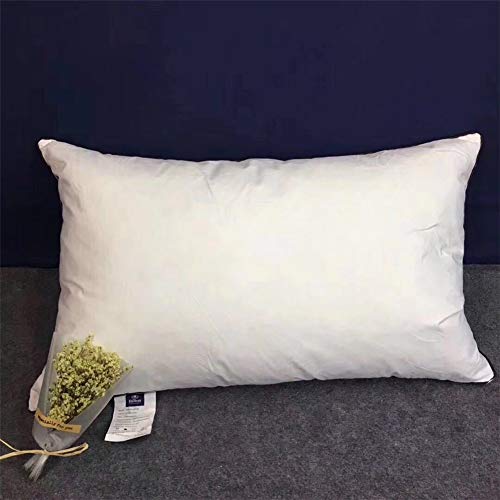 Daunenkissen, Hotel Pillows, Super Soft Hotel Quality 100% Luxus Weiße Gänsedaunen Weiß Kissen 48 X 74 cm (1 Pack) von XJZM