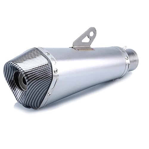 Motorrad-Auspuffrohr,Schalldämpferspitze,Auspuffschalldämpfer,sechseckiges Endstück, 51 mm,universell,Edelstahl,abnehmbarer Schalldämpfer,for Motorradmodifikationen(Silver) von XKSJCDR