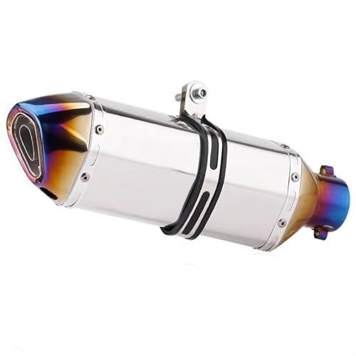 Motorradauspuff,Bläuungsprozess,exquisit und stilvoll,starke Haltbarkeit,hohe Kostenleistung,machen Sie Ihr Motorrad einzigartig,geeignet for Modifikationen(Silver) von XKSJCDR