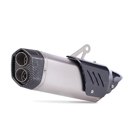 Rautenförmiges Doppelmund-Motorrad-Tuning-Auspuffrohr, Edelstahlmaterial, verschiedene Farben mit hoher Temperaturbeständigkeit, for Motorrad-Tuning(Silver) von XKSJCDR