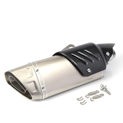 Schräges Quad-Auspuffrohr, modifiziertes Motorrad-Auspuffrohr, Universal-Schalldämpfer, hohe Temperaturbeständigkeit, echtes Material, langlebig, for Motorradmodifikation(Silver) von XKSJCDR