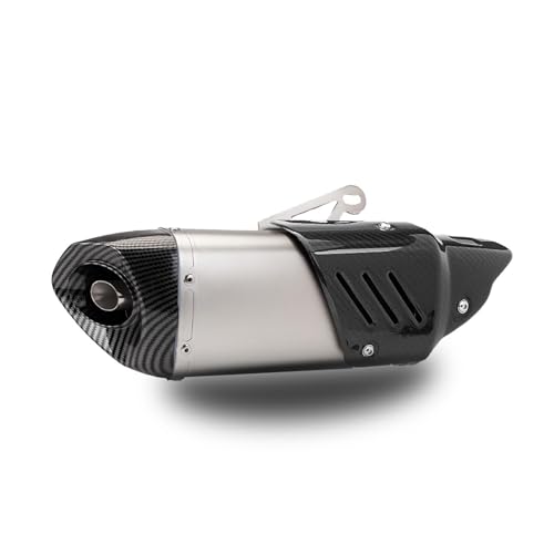 Universelle Motorradauspuffanlage,Schalldämpferauspuff,hochtemperaturbeständig,Bläuungsprozess,exquisit und stilvoll,geeignet for die Fahrzeugmodifikation(Silver) von XKSJCDR
