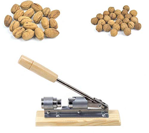 XLKJ Nussknacker Walnüsse, Walnussknacker mit Holzbasis Griff, Edelstahl Nußknacker Haselnuss Nuss-Zange Manuelle Pekannuss-Nussknacker für Walnüsse Kastanien Pekannüsse Haselnüsse Mandeln Paranüsse XLKJ Nussknacker Walnüsse, Walnussknacker mit Holzbasis Griff, Edelstahl Nußknacker Haselnuss Nuss-Zange Manuelle Pekannuss-Nussknacker für Walnüsse Kastanien Pekannüsse Haselnüsse Mandeln Paranüsse von XLKJ