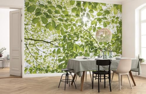 XLMING Einfache Frische Dreidimensionale Pflanzen Grüne Blätter Sonnenschein 3D Tapete Premium Strukturierte Seide Speisesaal Arbeitszimmer Wohnzimmer Schlafzimmer Sofa TV Wand-250cm×170cm von XLMING
