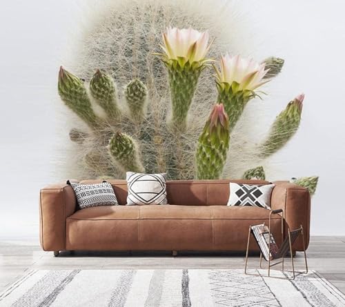 XLMING Fresh Art Tropischer Kaktus Naturlandschaft 3D Tapete Premium Strukturierte Seide Speisesaal Arbeitszimmer Wohnzimmer Schlafzimmer Sofa TV Wand-150cm×105cm XLMING Fresh Art Tropischer Kaktus Naturlandschaft 3D Tapete Premium Strukturierte Seide Speisesaal Arbeitszimmer Wohnzimmer Schlafzimmer Sofa TV Wand-150cm×105cm von XLMING