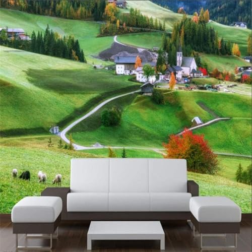 XLMING Frisch Ästhetisch Idyllisch Wald Wiese Häuser 3D Tapete Premium Strukturierte Seide Speisesaal Arbeitszimmer Wohnzimmer Schlafzimmer Sofa TV Wand-350cm×256cm XLMING Frisch Ästhetisch Idyllisch Wald Wiese Häuser 3D Tapete Premium Strukturierte Seide Speisesaal Arbeitszimmer Wohnzimmer Schlafzimmer Sofa TV Wand-350cm×256cm von XLMING