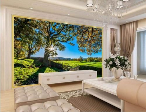 XLMING Frische Natur Natur Nur Präriebaum Sonnenschein 3D Tapete Premium Strukturierte Seide Speisesaal Arbeitszimmer Wohnzimmer Schlafzimmer Sofa TV Wand-400cm×280cm XLMING Frische Natur Natur Nur Präriebaum Sonnenschein 3D Tapete Premium Strukturierte Seide Speisesaal Arbeitszimmer Wohnzimmer Schlafzimmer Sofa TV Wand-400cm×280cm von XLMING