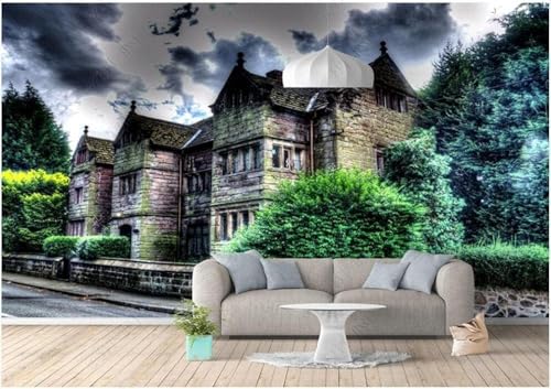 XLMING Pflanzen Schlösser Gärten Dunkle Wolken Vintage 3D Tapete Premium Strukturierte Seide Speisesaal Arbeitszimmer Wohnzimmer Schlafzimmer Sofa TV Wand-350cm×256cm von XLMING