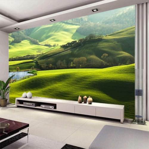 XLMING Schöne Grüne Prärie Natur Landschaft See 3D Tapete Premium Strukturierte Seide Speisesaal Arbeitszimmer Wohnzimmer Schlafzimmer Sofa TV Wand-300cm×210cm XLMING Schöne Grüne Prärie Natur Landschaft See 3D Tapete Premium Strukturierte Seide Speisesaal Arbeitszimmer Wohnzimmer Schlafzimmer Sofa TV Wand-300cm×210cm von XLMING