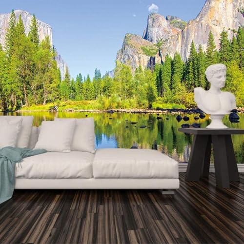 XLMING Stereo Fresh Green Forest Peak River 3D Tapete Premium Strukturierte Seide Speisesaal Arbeitszimmer Wohnzimmer Schlafzimmer Sofa TV Wand-350cm×256cm XLMING Stereo Fresh Green Forest Peak River 3D Tapete Premium Strukturierte Seide Speisesaal Arbeitszimmer Wohnzimmer Schlafzimmer Sofa TV Wand-350cm×256cm von XLMING