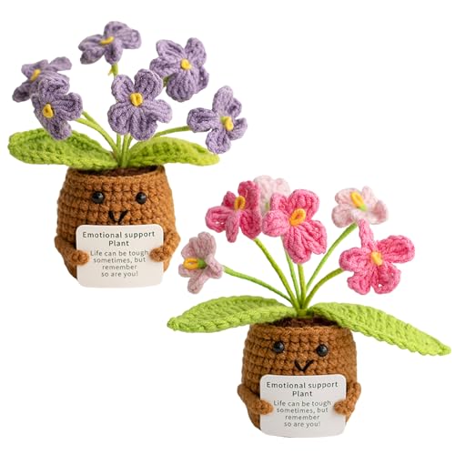 XLSBZ 2er Set Dankeschön Geschenk Pocket Hug Vergissmeinnicht-Blumen Geschenk Positive Kartoffel Positive Geschenke Häkelblumen für Gute Besserung XLSBZ 2er Set Dankeschön Geschenk Pocket Hug Vergissmeinnicht-Blumen Geschenk Positive Kartoffel Positive Geschenke Häkelblumen für Gute Besserung von XLSBZ
