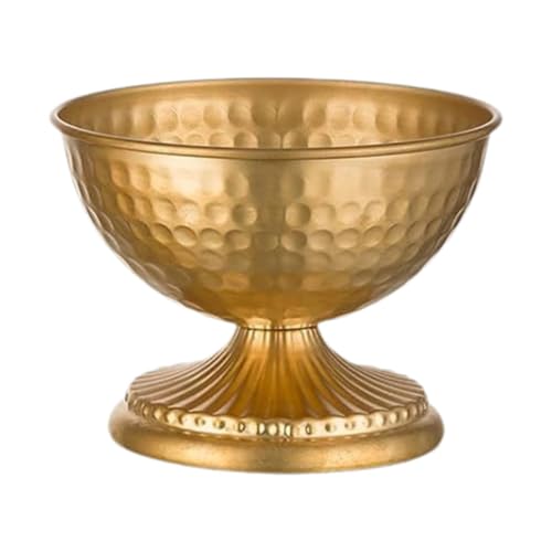 XLWLLNJ Blumenvase Stabile Eisen Vase Blumenbehälter Pflanzgefäß Kompakt Dekorativ Vielseitig für Wohnzimmer Schlafzimmer Schreibtisch Geschenk Hochzeit, Style A XLWLLNJ Blumenvase Stabile Eisen Vase Blumenbehälter Pflanzgefäß Kompakt Dekorativ Vielseitig für Wohnzimmer Schlafzimmer Schreibtisch Geschenk Hochzeit, Style A von XLWLLNJ