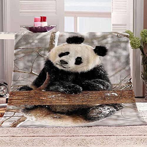 Kuscheldecke 150x200 Panda, 3D Gedruckte Flanell Fleecedecke Niedlich Weiche und Warme Wohndecke, Decke als Sofadecke, Tagesdecke Wolldecke für Kinder Erwachsene von XLYYDS