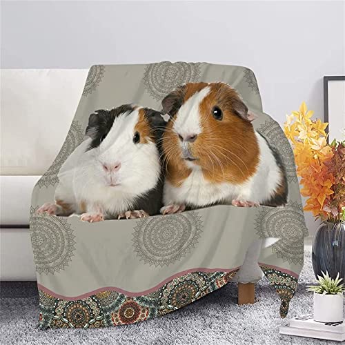 Kuscheldecke 180x200 Meerschweinchen, 3D Gedruckte Flanell Fleecedecke Niedlich Weiche und Warme Wohndecke, Decke als Sofadecke, Tagesdecke Wolldecke für Kinder Erwachsene Kuscheldecke 180x200 Meerschweinchen, 3D Gedruckte Flanell Fleecedecke Niedlich Weiche und Warme Wohndecke, Decke als Sofadecke, Tagesdecke Wolldecke für Kinder Erwachsene von XLYYDS