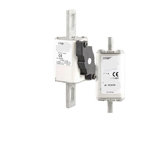 1 Pcs Sicherung Sicherung 170M1413 Sicherung Sicherung 20a 1000v von XMAFRJIO