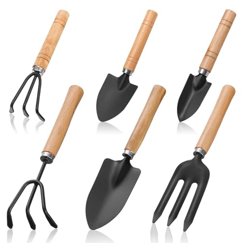 6 Stück Mini Gartenwerkzeug Set, Holzgriff Eisen Gartenwerkzeug Set Pflanze Holzgriff Handheld Mini Schaufel Spaten Rechen Gartenset Gartenschaufel Klein Gartengeräte von XMDROU