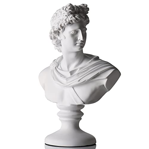 XMGZQ David Statue,Apollo Büsten Statue,Griechische Mythologie David Kopf,Büste Statue,Marmorharz,weiß,30 cm,Michelangelo Home Dekoration,Skizze Praxis Geschenk,Schmuck Schmuckhalter,David Büste von XMGZQ