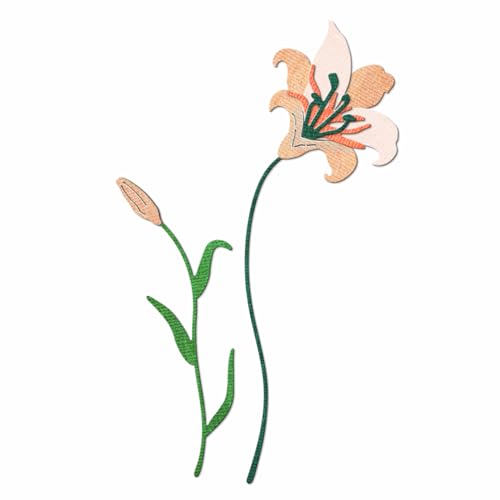 XMZZMX Metall-Stanzformen für Kartenherstellung, Papierpräge-Stanz-Set, Aufbewahrungstaschen, Zubehör, Scrapbooking-Schablonen XMZZMX Metall-Stanzformen für Kartenherstellung, Papierpräge-Stanz-Set, Aufbewahrungstaschen, Zubehör, Scrapbooking-Schablonen von XMZZMX