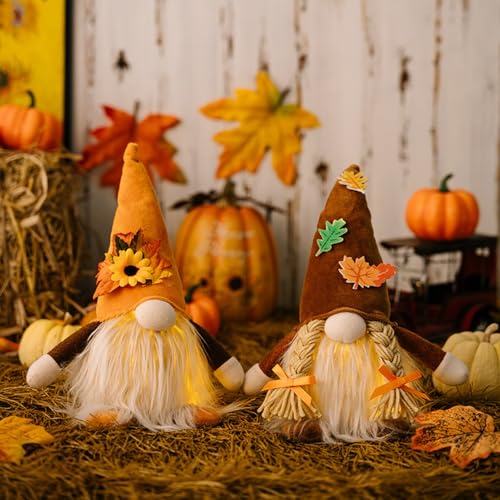 XNSHUN 2 Stück Herbstdeko Wichtel Mit Licht, Herbst Dekoration Wichtel Figuren, Herbst Dekoration Wichtel, Halloween Deko Mit LED Weihnachten Deko, Herbst Zwerg Plüsch Das Erntedankfest (Stil D) von XNSHUN