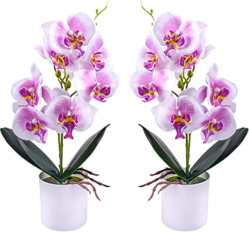 XONOR Künstliche Orchideenblumen, 2 Stück eingetopfte Orchideenblüten Gefälschte Orchideen mit Plastikvase für Tischdekoration Wohnkultur Büro Hochzeitsfeier Dekoration (Lila) von XONOR