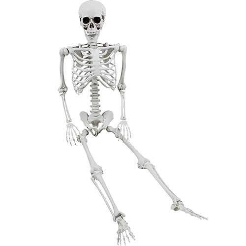 XONOR 165cm Halloween bewegliches Skelett Realistische menschliche Skelette Ganzkörperknochen mit beweglichen Gelenken für die Halloween-Dekoration von XONOR