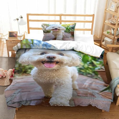 XPASHIQWC Bichon Frise 3D Druck Bettwäsche Set Innenhof im Freien Mit Verstecktem Reißverschluss, Mikrofaser Für Moderne Schlafzimmer Dekoration Single（135x200cm） von XPASHIQWC