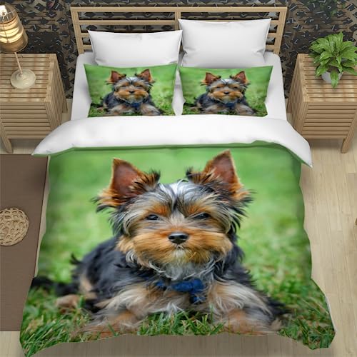 XPINGO Kinder Bettwäsche Yorkshire Terrier 135x200 cm 2teilig Jungen und Mädchen 100% Mikrofaser Sommer Weiche Winter Warm Bettbezüge 3D Tier Hund Bettbezug mit Kissenbezüge 80x80 cm XPINGO Kinder Bettwäsche Yorkshire Terrier 135x200 cm 2teilig Jungen und Mädchen 100% Mikrofaser Sommer Weiche Winter Warm Bettbezüge 3D Tier Hund Bettbezug mit Kissenbezüge 80x80 cm von XPINGO