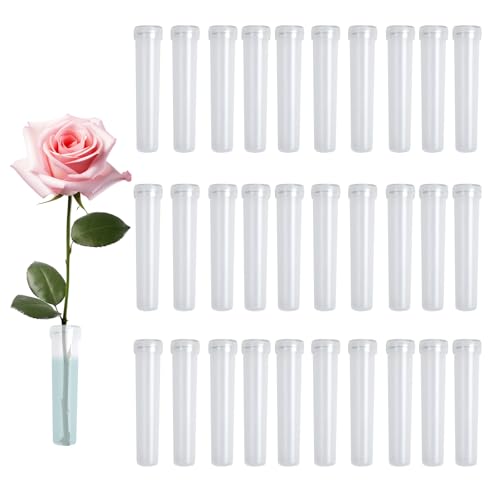 XQMMGO 30 Stück Reagenzgläser für Blumen, Wasserröhrchen für Blumen, Reagenzglas vase, Reagenzgläser Kunststoff, Blumenröhrchen Kunststoff, Restaurants, Cafés XQMMGO 30 Stück Reagenzgläser für Blumen, Wasserröhrchen für Blumen, Reagenzglas vase, Reagenzgläser Kunststoff, Blumenröhrchen Kunststoff, Restaurants, Cafés von XQMMGO