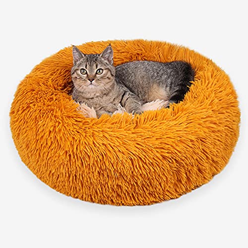 XRDSHY Katzenbett 2 in 1 Plüsch Weich Runden Schlafen Katzensofa Flauschige Katzenbett Klein Hund Bett Katzendecke Haustierbett Katzenbettchen Tierbett Für Katzen Und Hunde,Orange-M von XRDSHY