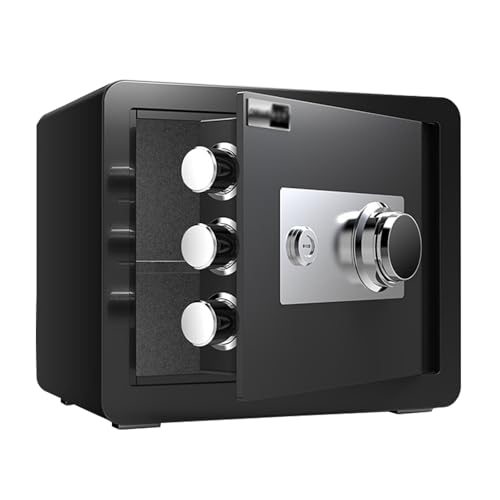 Mini Tresor mit Schlüssel Geldkassette Zahlenschloss Kleiner Safe für Zuhause Geldtresor für Geld, Bargeld, Medikamente, Pistole(Black,25CM/10IN) von XRRJFYH