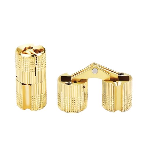 Scharniere, Türscharniere, 2 Stück zylindrisch 8 mm/10 mm/12 mm/14 mm/16 mm/18 mm Kupfer-Fassscharniere Versteckter Schrank Verdeckte unsichtbare Messingscharniere (Farbe: 16 mm)(16mm) von XSXSX