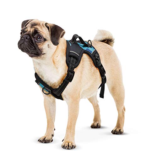 XT-Dog Arnes Camo 2Walk S Blau XT-Dog Arnes Camo 2Walk S Blau von XT-DOG