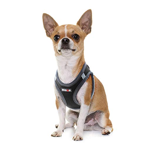 XT-Dog Arnes Neo schwarz XS XT-Dog Arnes Neo schwarz XS von XT-DOG