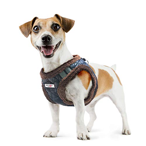 XT-Dog Arnes Nordic M XT-Dog Arnes Nordic M von XT-DOG