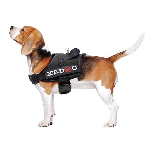 XT-Dog Sicherheits-Arnes S Schwarz XT-Dog Sicherheits-Arnes S Schwarz von XT-DOG
