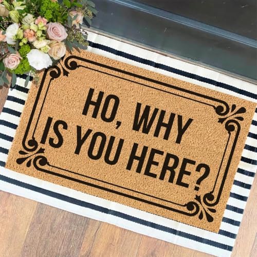 XTDJJKK Funny The Entrance Way Outside Personalisierter Teppich mit strapazierfähiger, rutschfester Kokosfaser-Fußmatte, für den Außenbereich, Geschenk für Haustierliebhaber, 59,9 x 40 cm (Ho, Why is von XTDJJKK