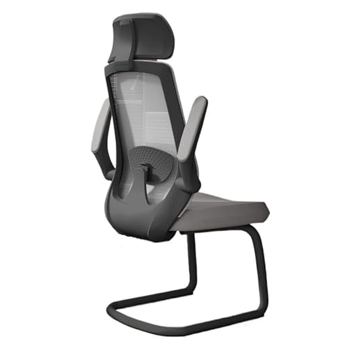 XTJS56QB Hohe Rückenlehne Büro-Schreibtischstühle Ergonomischer Schreibtischstuhl mit verstellbarem Handlauf, Lordosenstütze, Chefsessel Einstellbar(Grigio) von XTJS56QB