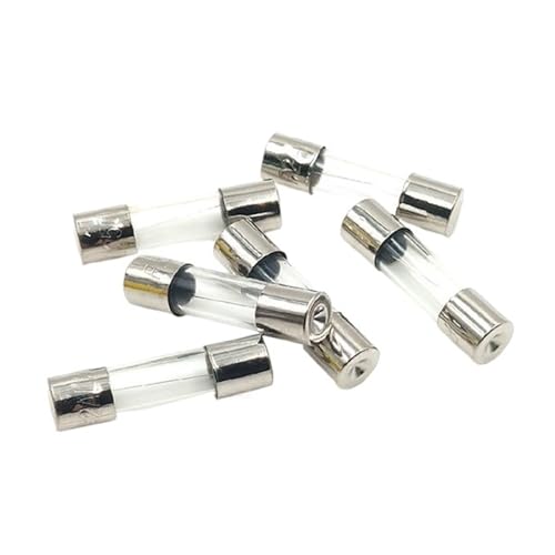 5 * 20mm6*30mm T/Träge Glas Sicherung 250V 0,5 1 2 3 5 6 8 10 15 20A AMP Sicherung(10A) von XTSQUHPNH