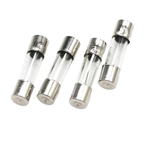 Glasrohrsicherung 5x20MM 0,1A 0,2A 0,5A 1A 2A 3A 4A 5A 6A 8A 10A 12A 15A 20A 30A 25A 250V Sicherungen Fusibles(100Pcs(one box)) von XTSQUHPNH