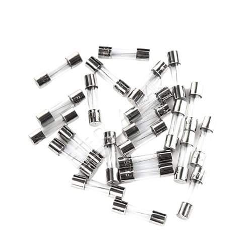 Glass Tube Fuse 5 * 20MM 0.1A 0.2A 0.5A 0.8A 1A 2A 2.5A 3A 4A 5A 6.3A 7A 8A 10A 12A 15A 20A 30A F2AL250V Fast Quick Blow Fuses(2.5A,20 Pieces) von XTSQUHPNH